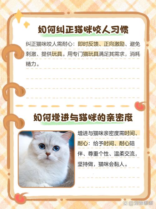 為什麼貓咪撒嬌會咬人