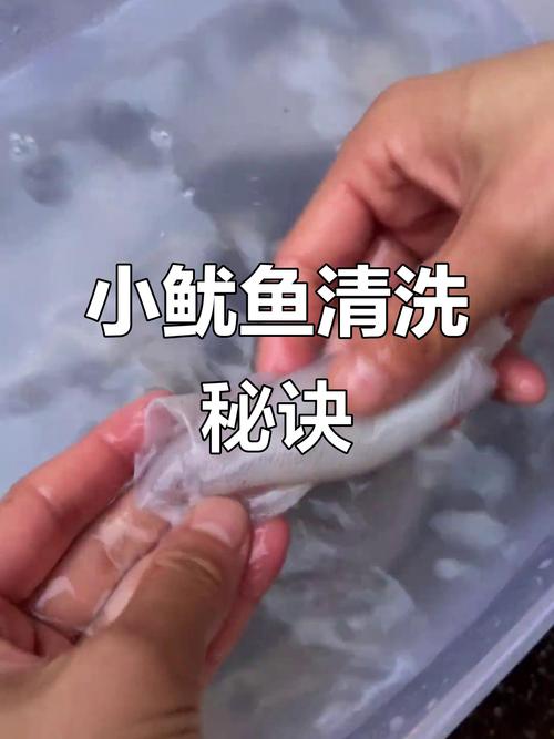 魷魚買回來要洗嗎