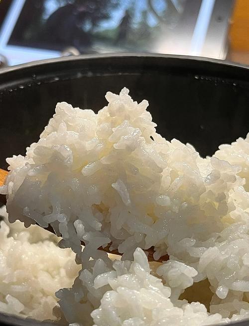 米飯可以用蒸的嗎