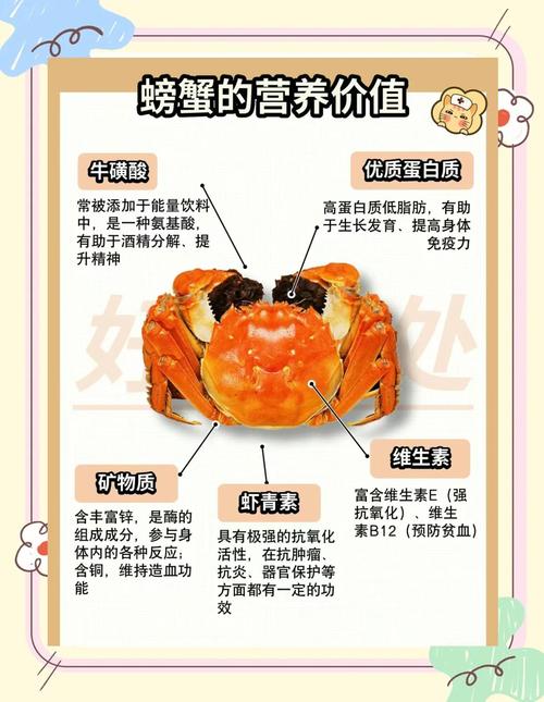 吃螃蟹的禁忌與美味學問:挑選、烹調、享用全攻略 3 吃螃蟹有什麼禁忌