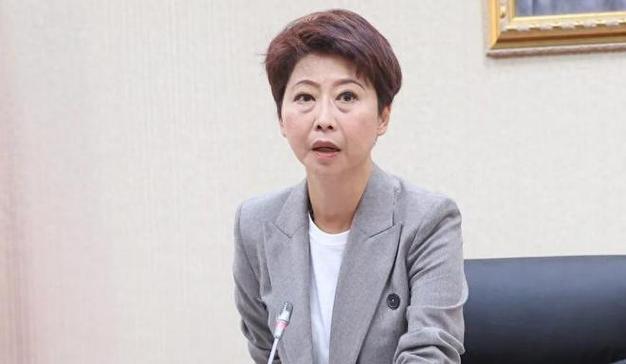 陳亭妃為何被除名?深入剖析民進黨內派系角力與政治風暴 3 陳亭妃為何被除名