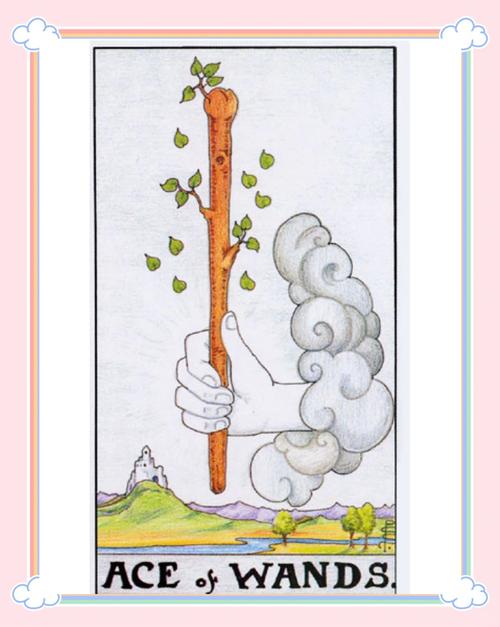 每日塔羅