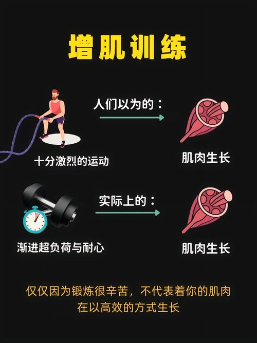 什麼是最大肌力