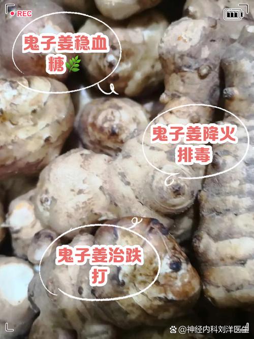 長出來的薑可以吃嗎