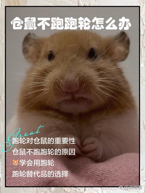 滑鼠沒反應怎麼辦?超詳細排除攻略,讓你快速找回電腦操作權! 3 滑鼠沒反應怎麼辦