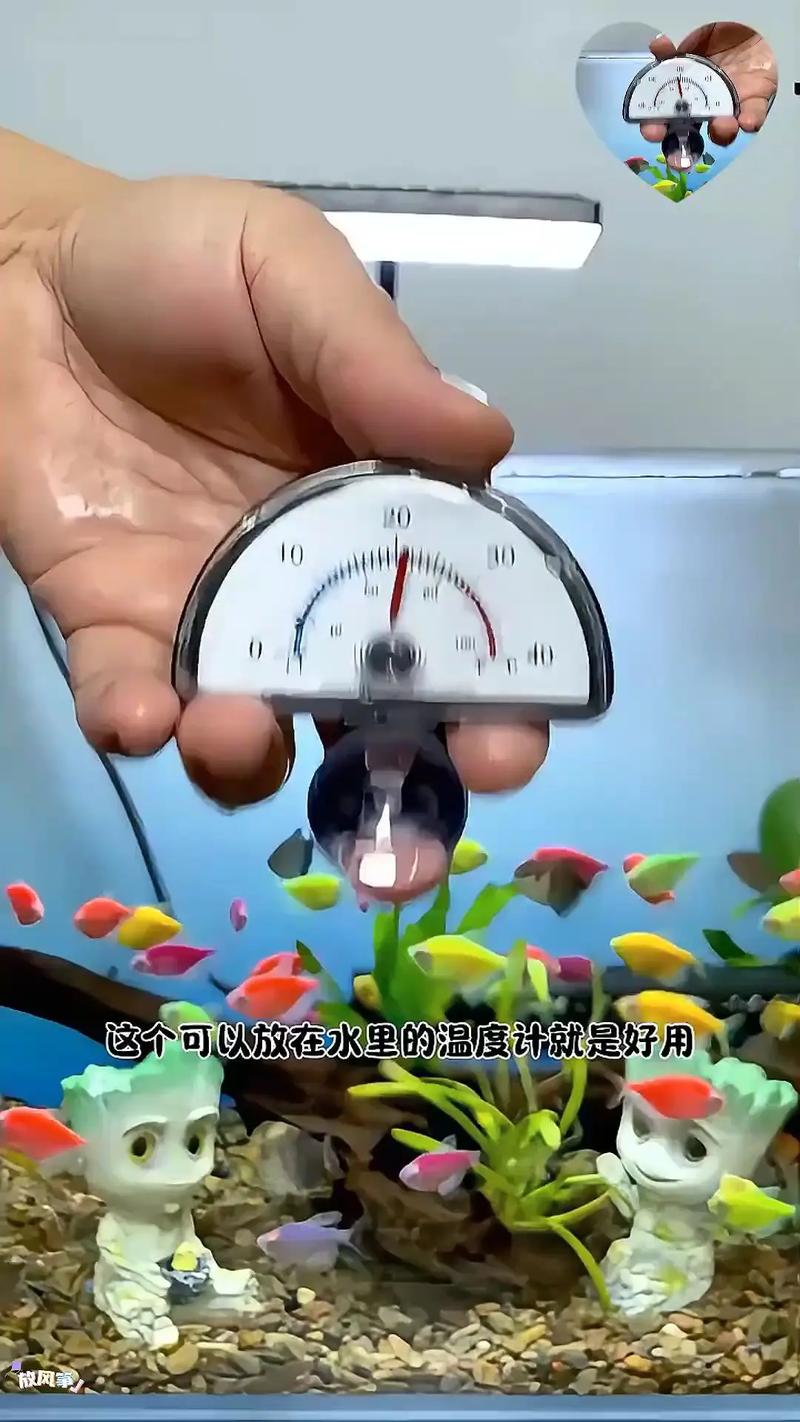魚缸溫度幾度最適合?新手必看!精準掌握水族箱黃金溫度 1 魚缸溫度幾度