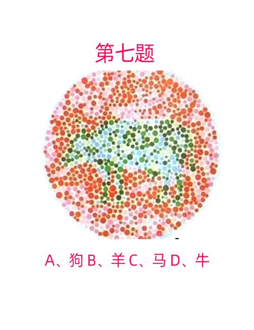 色弱可以做紀律部隊嗎