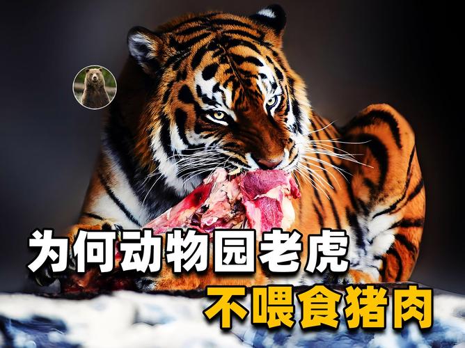 動物園有禁止外食嗎?詳解台灣各動物園的飲食規定與貼心提醒! 1 動物園有禁止外食嗎
