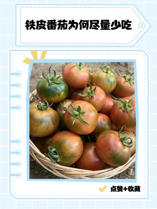 什麼人不能吃番茄