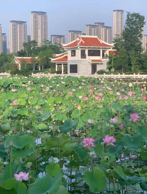 雙溪河濱公園怎麼去?交通指南、停車資訊與周邊景點全解析 1 雙溪河濱公園怎麼去