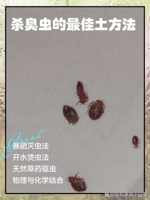 怎麼殺蠕形蟎蟲