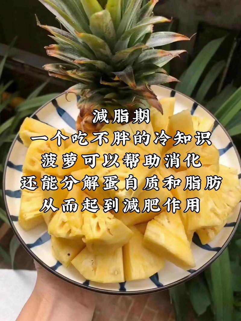 減肥可以吃菠蘿嗎