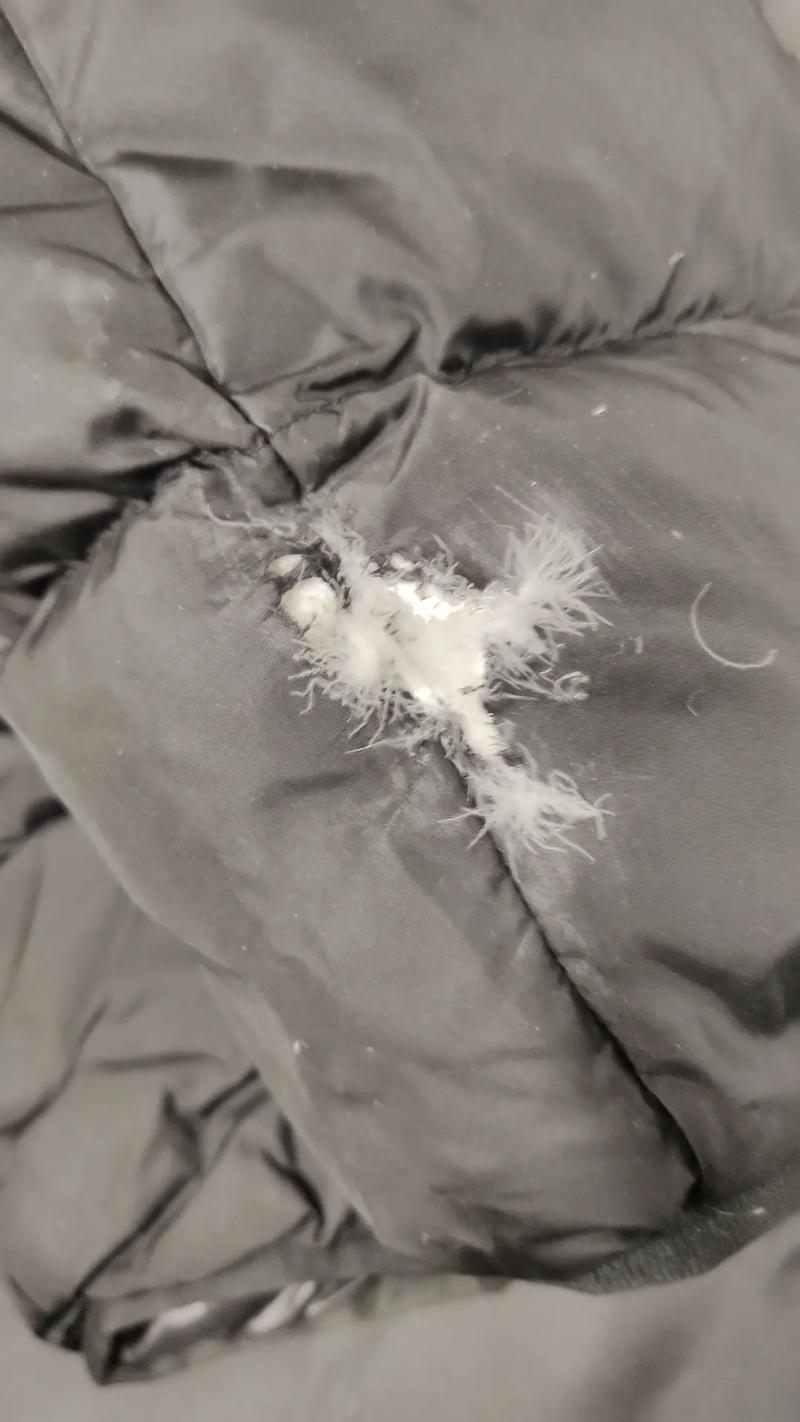 為什麼洗衣服會破洞