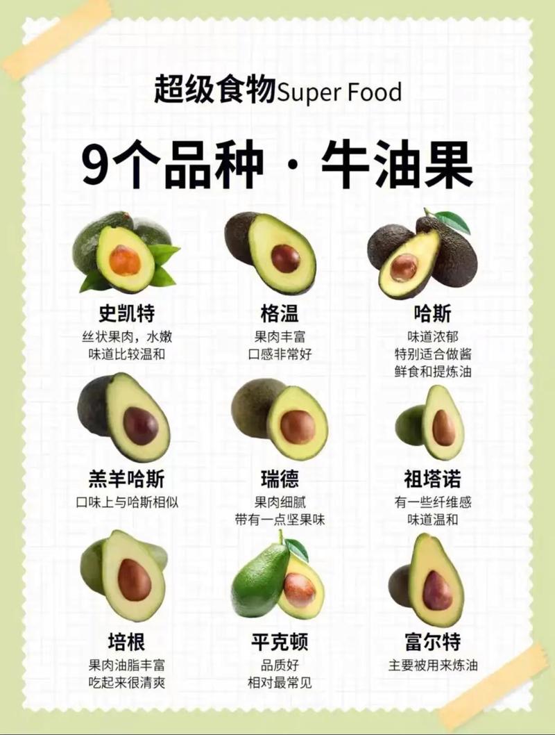 牛油果 寶寶可以吃嗎?從認識到餵食,新手爸媽的安心指南 3 牛油果 寶寶可以吃嗎