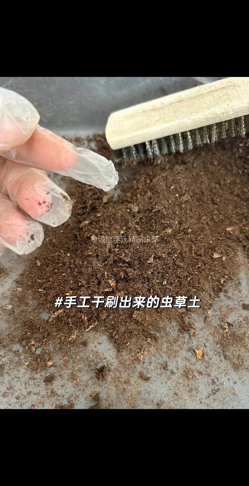 一般的土要去哪裡買?園藝、盆栽、造景用土購買全攻略 3 一般的土要去哪裡買