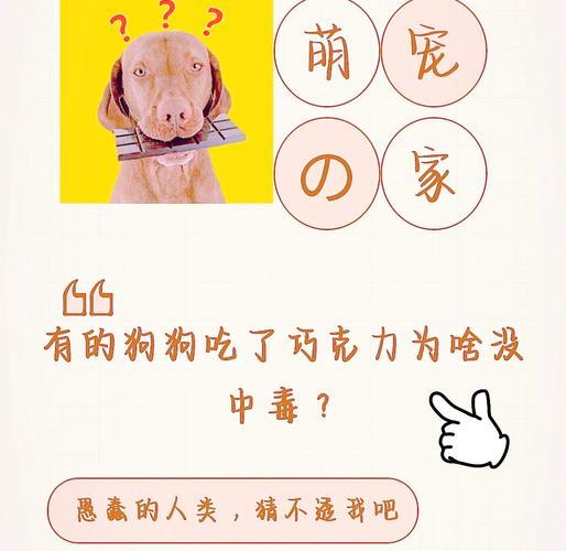 狗為什麼不能吃巧克力