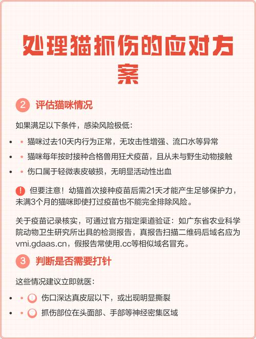 貓咪抓傷自己怎麼辦