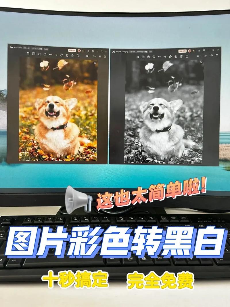 如何把照片變黑白:新手也能學會的經典調色技巧 1 如何把照片變黑白