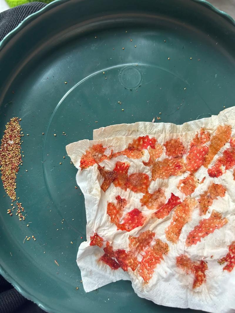 種子為什麼要曬乾