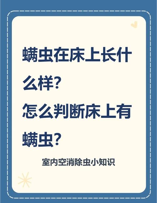 怎麼知道有蟎蟲