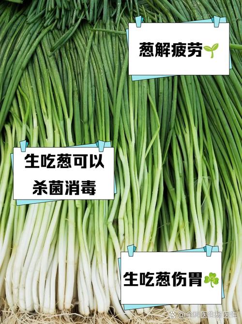 感冒可以吃蔥蒜嗎?暖身防疫,蔥蒜的健康妙用大揭秘! 1 感冒可以吃蔥蒜嗎