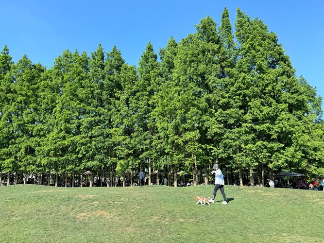 東山棧可以帶狗嗎