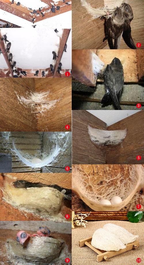 燕巢是北高雄嗎