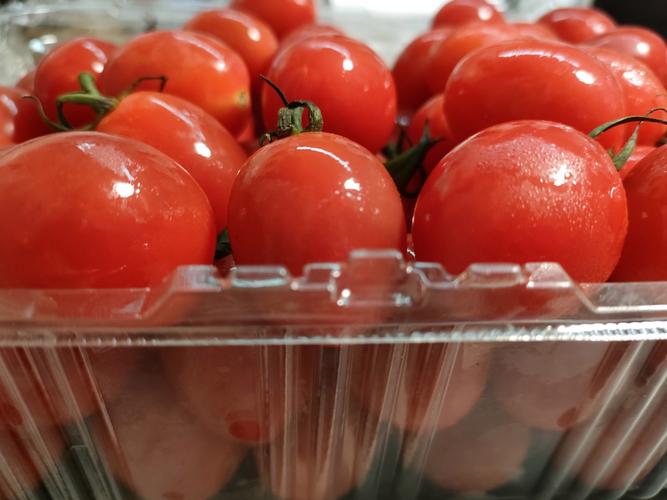 小番茄裂開可以吃嗎?營養師解析裂果成因與安心食用指南 3 小番茄裂開可以吃嗎