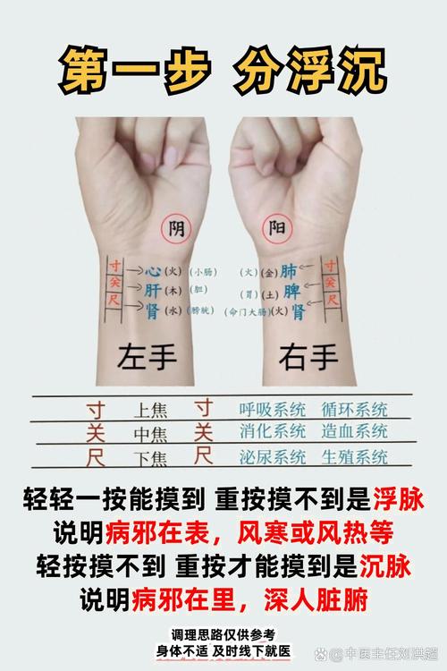 脈搏摸哪裡?專業教學與常見迷思大破解,掌握自身健康關鍵! 1 脈搏摸哪裡