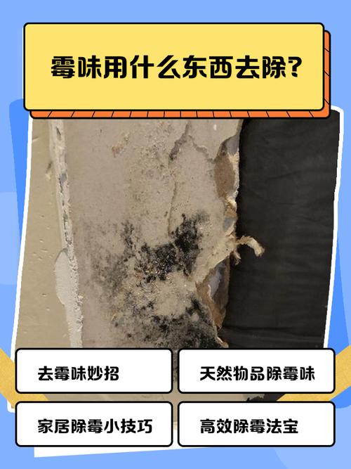 冷氣一直開著會發霉嗎