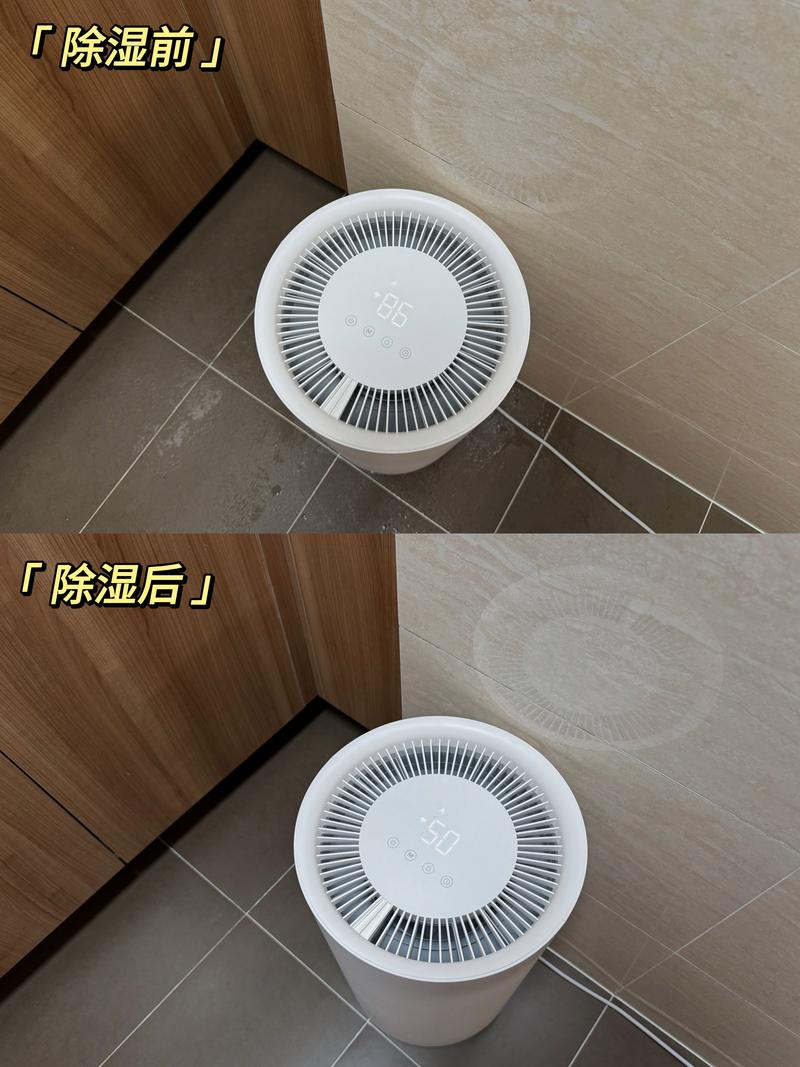 除濕機濾網要曬乾嗎