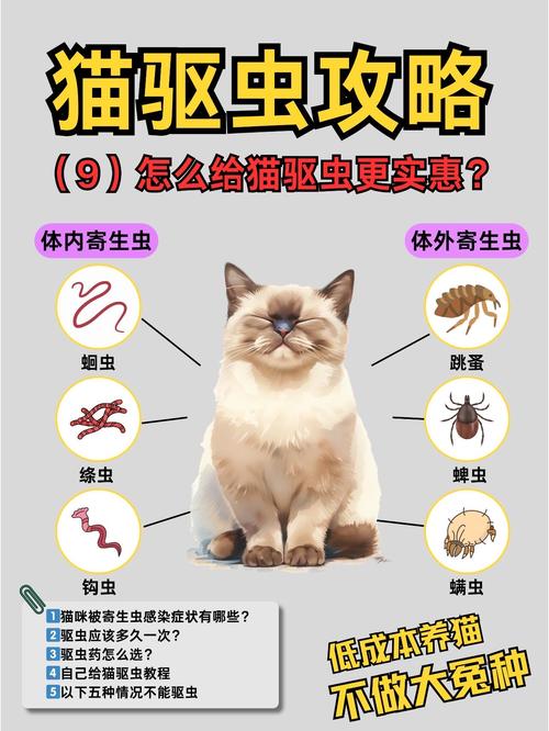 貓咪多大可以體內驅蟲