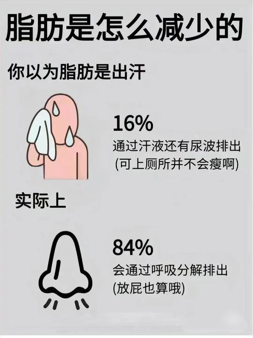 體脂肪一個月降多少正常