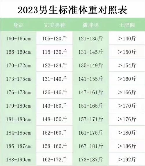 男生體脂多少才有腹肌?揭開顯現腹肌的關鍵數字與養成秘訣 3 男生體脂多少才有腹肌
