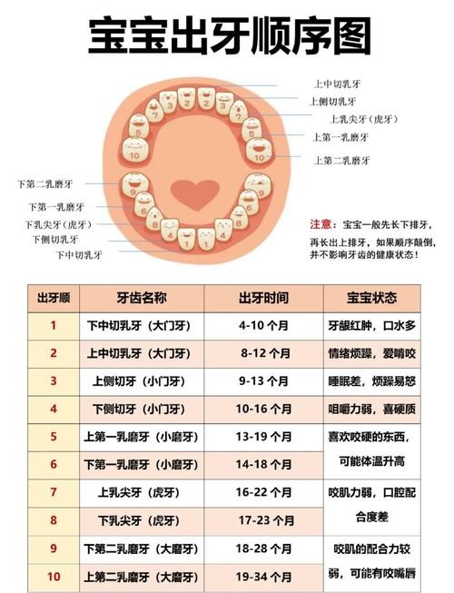早產兒多久長牙