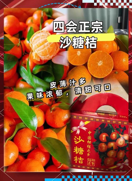 砂糖橘一天可以吃幾顆