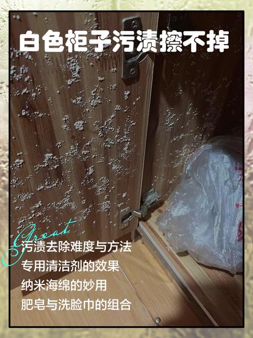 為什麼衣服放衣櫃會臭