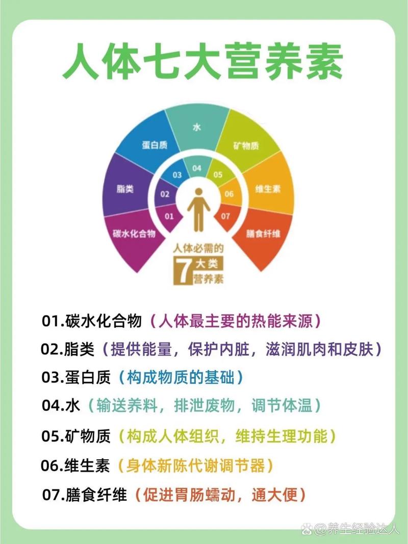 素食者會缺乏什麼營養?全方位解析素食飲食的潛在營養缺口與補充策略 1 素食者會缺乏什麼營養