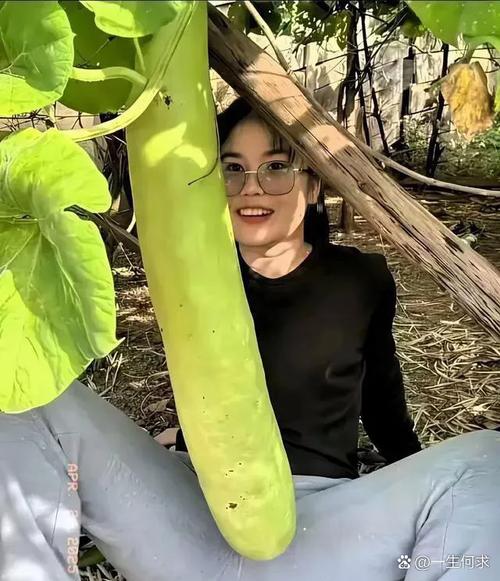 納豆的老婆是誰