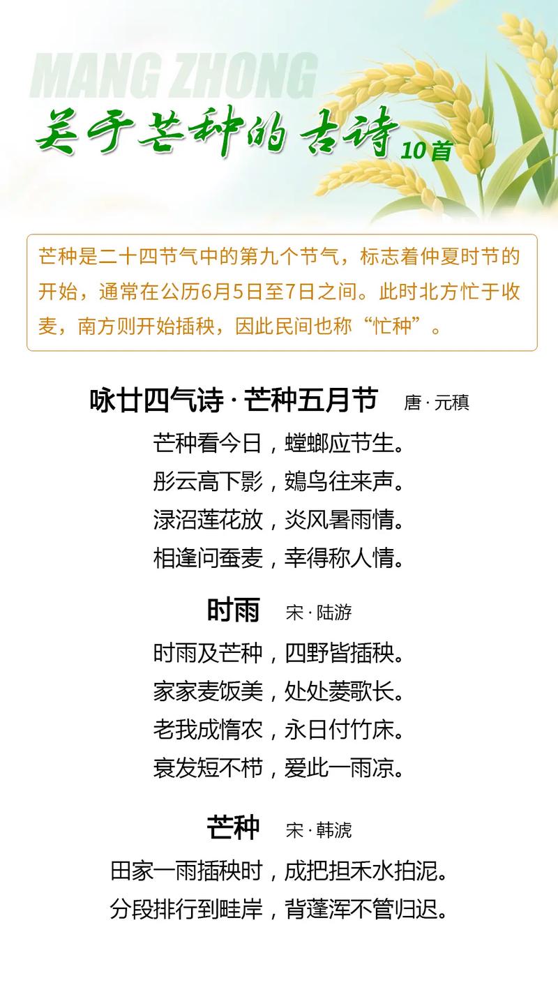 山君不離 芒草幾月