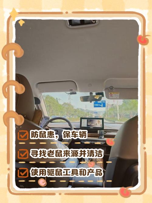 死老鼠可以丟垃圾車嗎