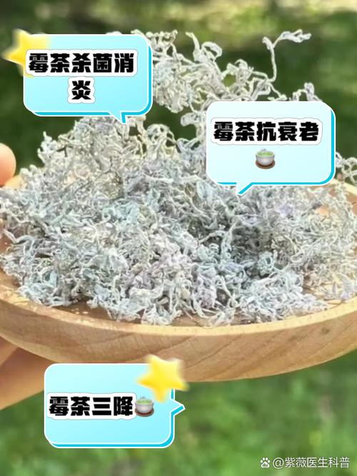 茶葉會產生黃麴毒素嗎