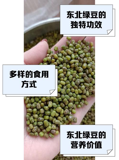吃綠豆會脹氣嗎?破解迷思,從認識綠豆的成分到預防脹氣的聰明吃法 1 吃綠豆會脹氣嗎