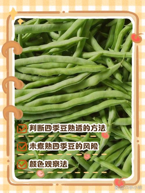 四季豆沒有熟會怎樣