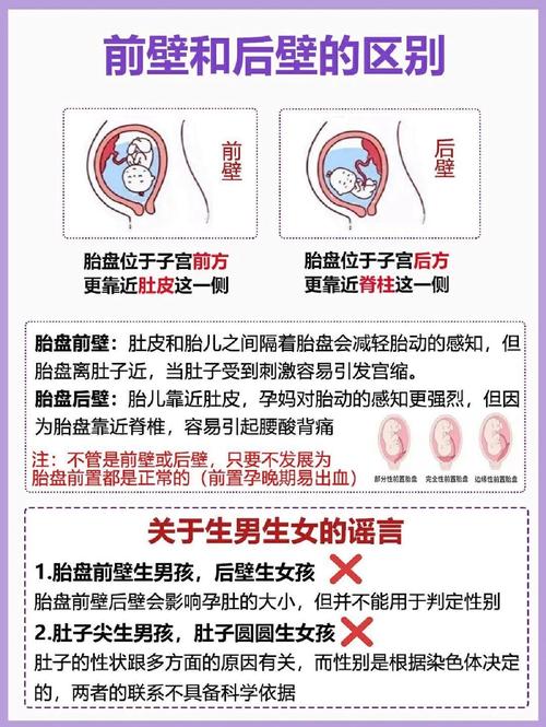 孕婦怎麼看生男生女