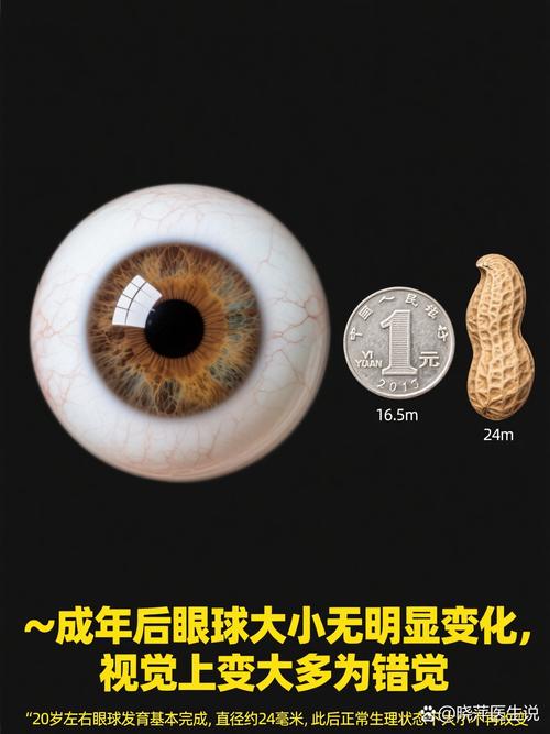 眼睛細胞會更新嗎
