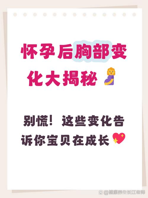 懷孕胸部變大多少