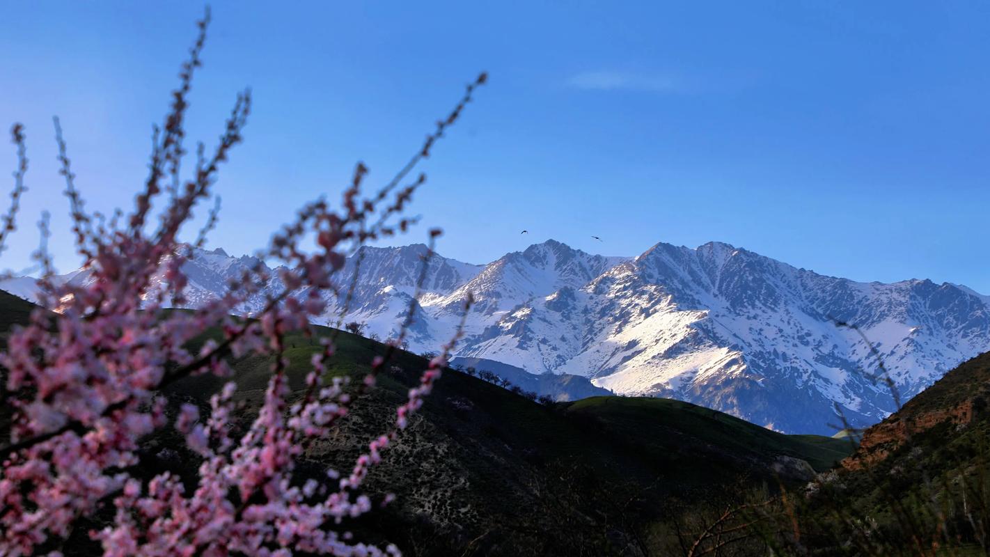 福壽山怎麼上去?從交通、住宿到行程規劃,一篇搞懂! 3 福壽山怎麼上去