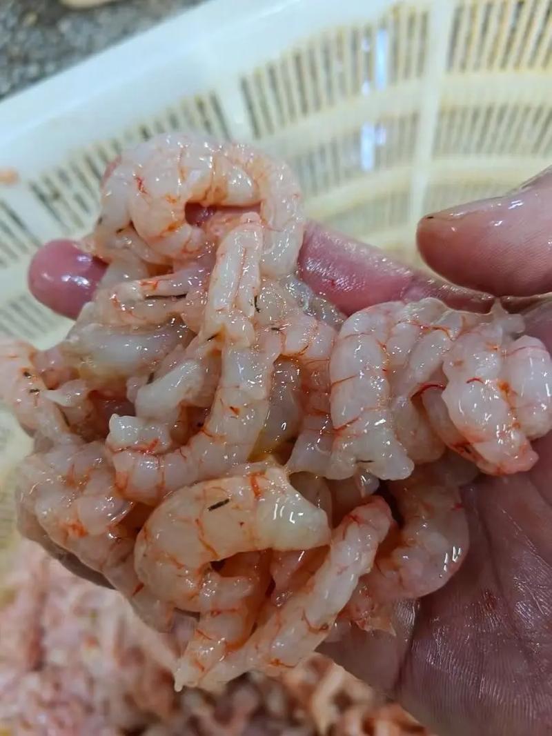 蝦仁要去腥嗎?美味關鍵,還有這些處理秘訣讓你一次搞懂! 3 蝦仁要去腥嗎