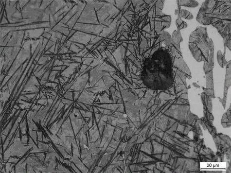 奧氏體是沃斯田鐵嗎